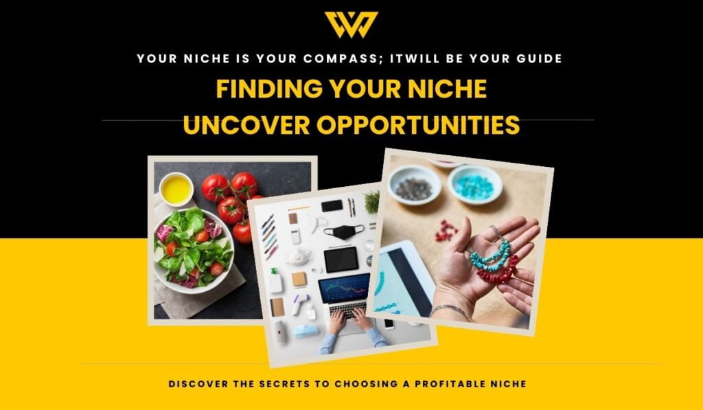 discovering a profitable niche